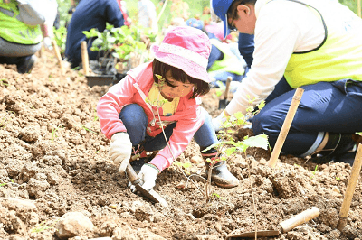 水源地植樹活動（北海道）の様子
