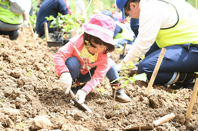 水源地植樹活動(北海道)の様子