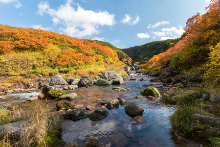 【アゴダ】 アゴダが注目する「美しい紅葉を楽しむ国内の旅行先5選」 ～写真撮影に最適な日本の紅葉ベストスポット～