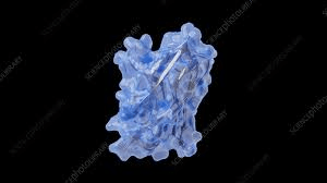 ナノボディ医薬品