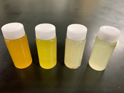 植物油中のセルロースナノファイバー分散体、 左からゴマ油、オリーブオイル、ヒマシ油、大豆油