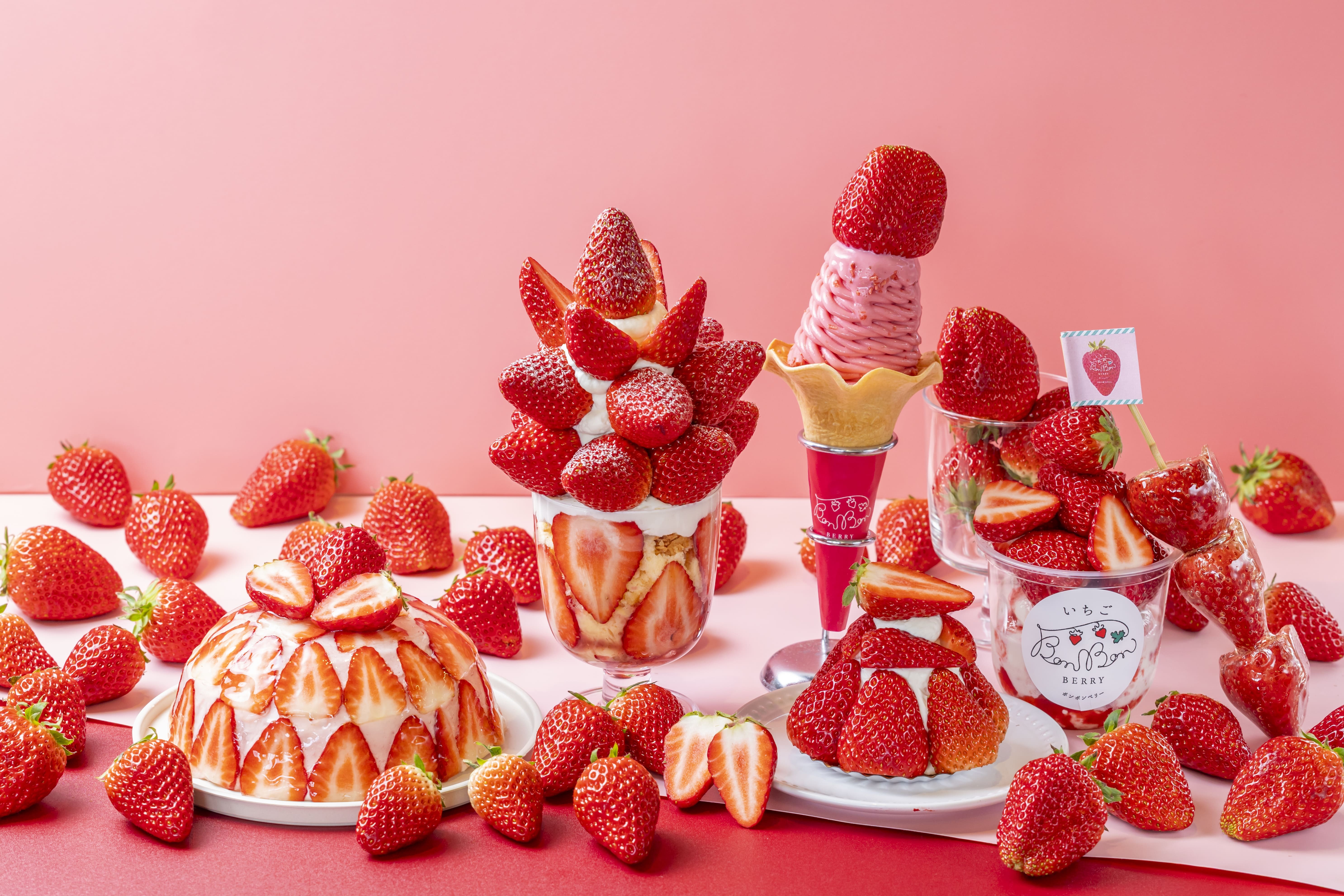 いちごの収穫祭2026 ※写真はイメージです