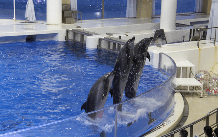 オーシャンナイトライブ(1) ※画像は昨年のイベントの様子です。