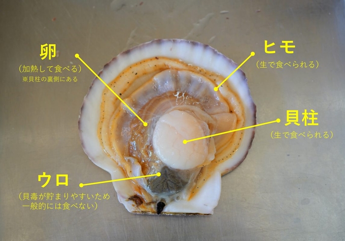 卵、ヒモ、貝柱、ウロ　の4つの部位を分けます！