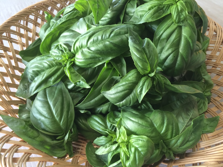 香り高いバジル