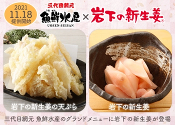 海鮮居酒屋『三代目網元 魚鮮水産』のグランドメニューに「岩下の新生姜の天ぷら」「岩下の新生姜」が登場！11月18日提供開始。