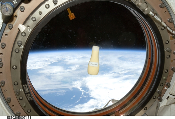 2009年、若田光一宇宙飛行士が 国際宇宙ステーションにて撮影 (C)JAXA/NASA