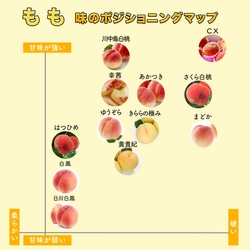 産地直送・お取り寄せ通販サイト「トドクヨ」が 福島県産の桃を7月より販売開始！ ～桃の味や固さを比較できるポジショニングマップを公開～