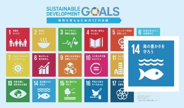 SDGs