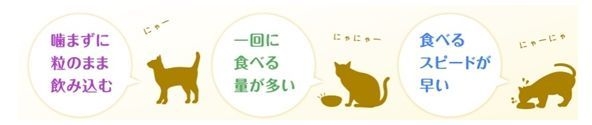 《こんな猫におすすめ》