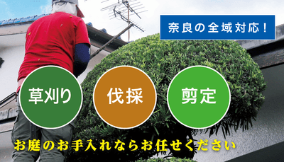 お庭の大将(奈良)