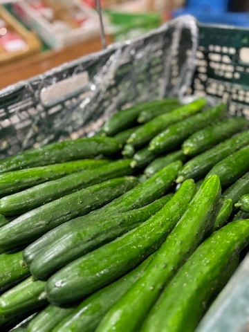 詰め放題・つかみ取り・すくい取り・刺し放題!等のイベントが盛りだくさん!