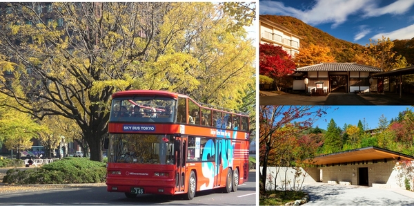 （左写真はイメージ）