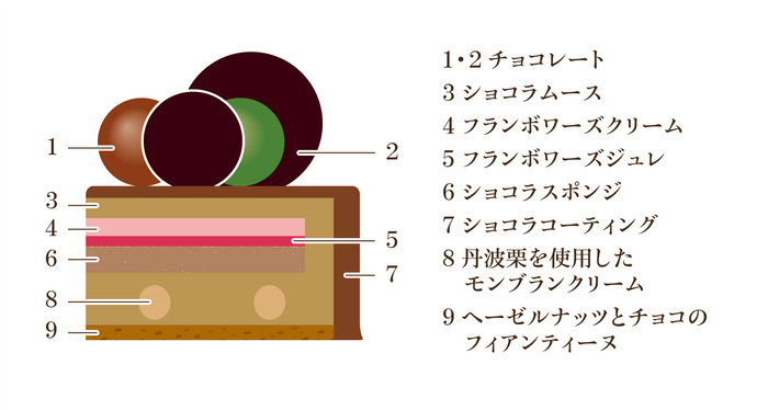 ノエルショコラフランボワーズ／断面図