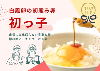 美味しい卵とプリンのお取り寄せ！ 市場には出回らない貴重なたまご初産み卵『初っ子』と お祝いスイーツ『初っ子プリン』の予約受付をスタート！