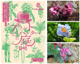 六甲高山植物園 初開催イベント 『プラントハンターの庭』 3月19日（土）～6月19日（日）
