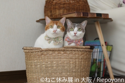 展示作品6