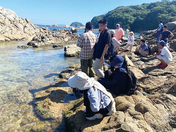 篠島で藻場の視察を行う