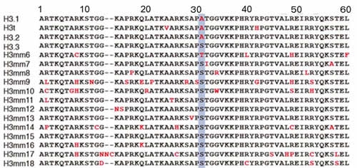 図5（文末にキャプション説明があります）