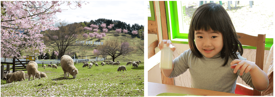 画像提供：伊香保グリーン牧場