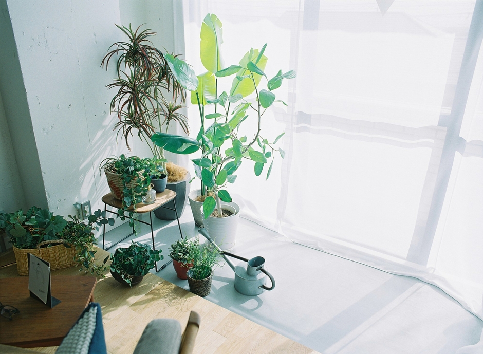 Sun room
