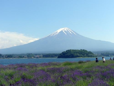 河口湖ハーブフェスティバル 大石会場からみた富士山
