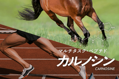 マルチタスク・ペプチド カルノシン