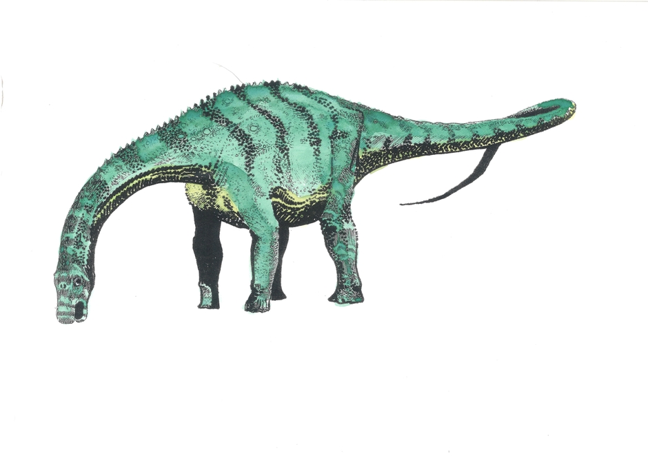 竜脚類の復元図（絵：ビャンバーツォクト）
