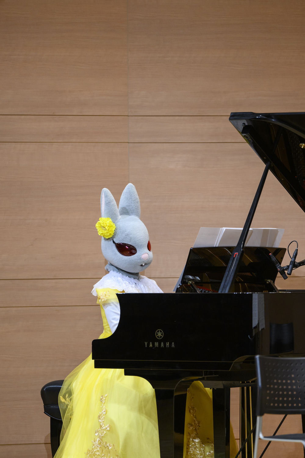 弦うさぎ ベス1