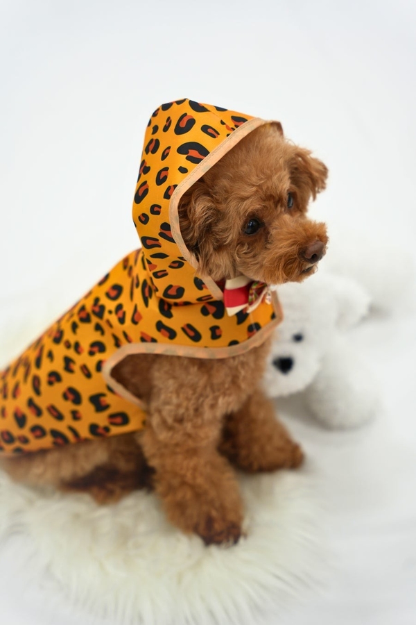 カプセルトイの新製品『なりきり! アニマルレインコート』。着用イメージ