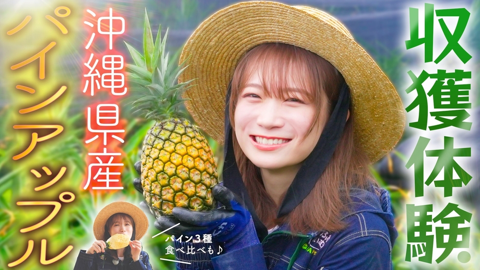 YouTube番組「ゆるふわたいむ」