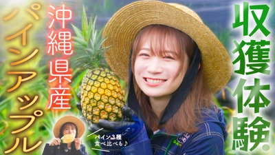 秋元真夏が沖縄県へ！ 石垣島でパインアップルを収穫してまるかじり！ ～JAタウンで1000円OFFクーポンをプレゼント～