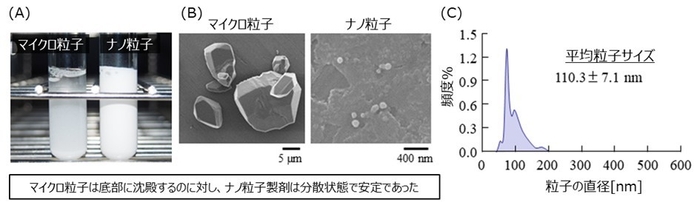 図1 (A,B)マイクロ粒子とナノ粒子の比較((A)製剤の外観画像、(B)電子顕微鏡画像)、(C)ミノキシジルナノ粒子の粒度分布 出展:Biol. Pharm. Bull., 47(12), 2024.(一部改変)