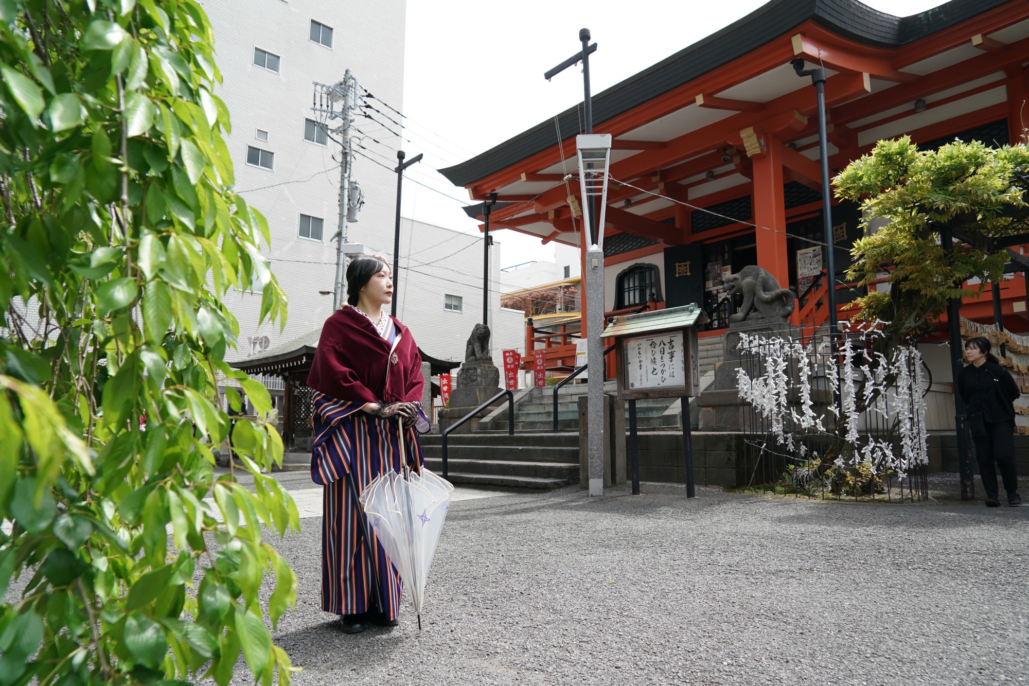 写真:間野真由美