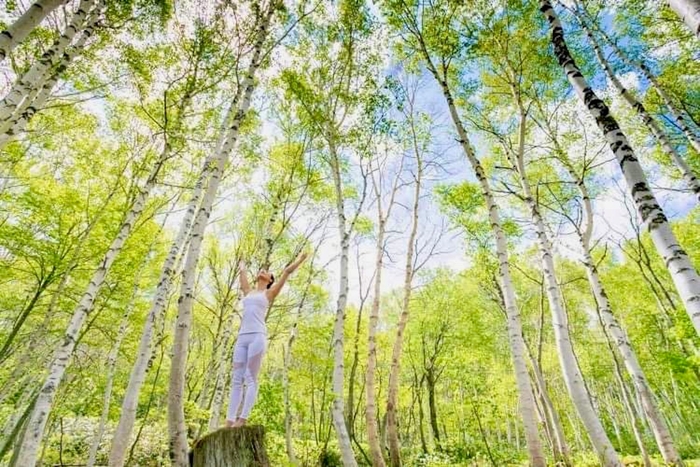 仕事前の朝ヨガでリフレッシュ!