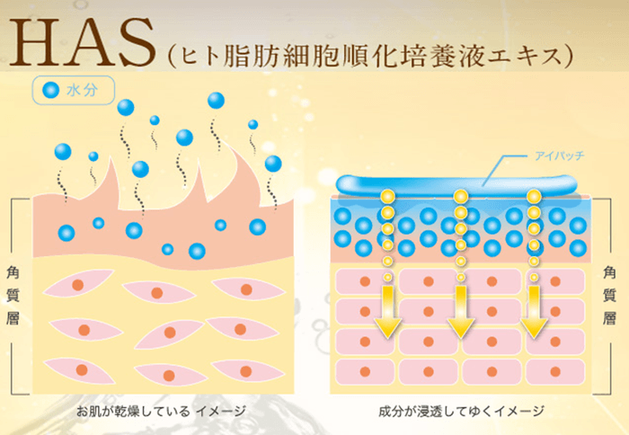 HAS(ヒト幹細胞エキス)