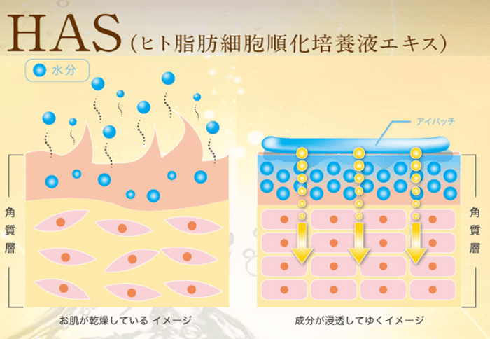 HAS(ヒト幹細胞エキス)
