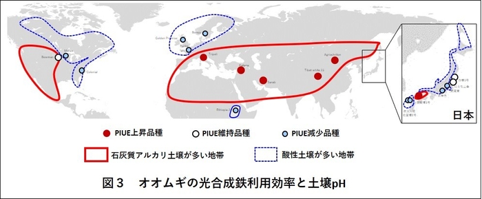 図3 オオムギの光合成鉄利用効率と土壌pH