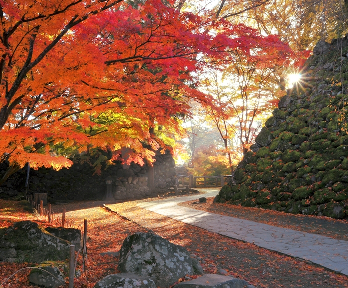 ツアーに含まれる懐古園観光