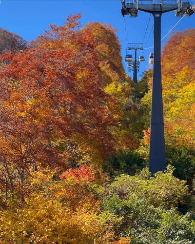ゴンドラ架線脇の紅葉は徐々に山頂から山麓に降りてきています。