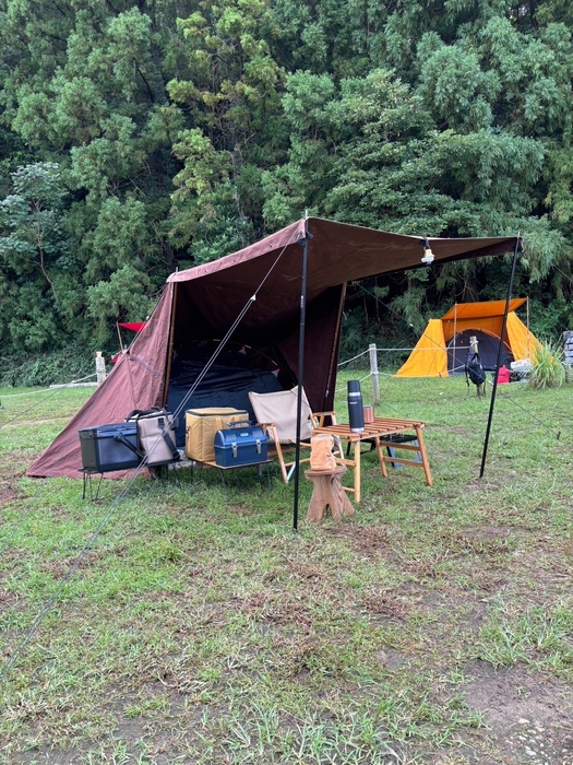 蚊帳を入れた。Color:ダークブラウン