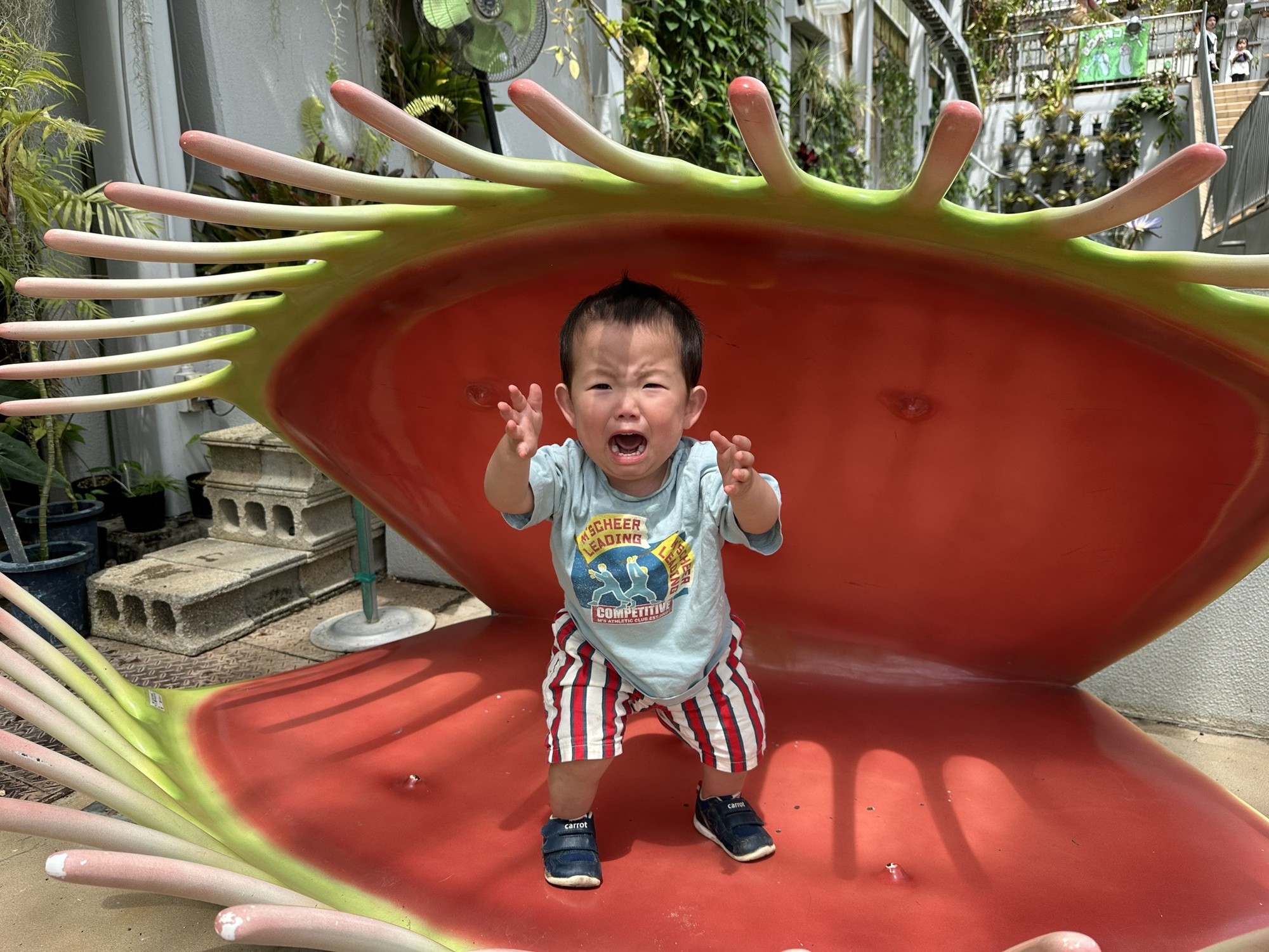 【受賞作品決定!】TSS開局50周年特別企画『広島まるごと ずきゅん。写真展』