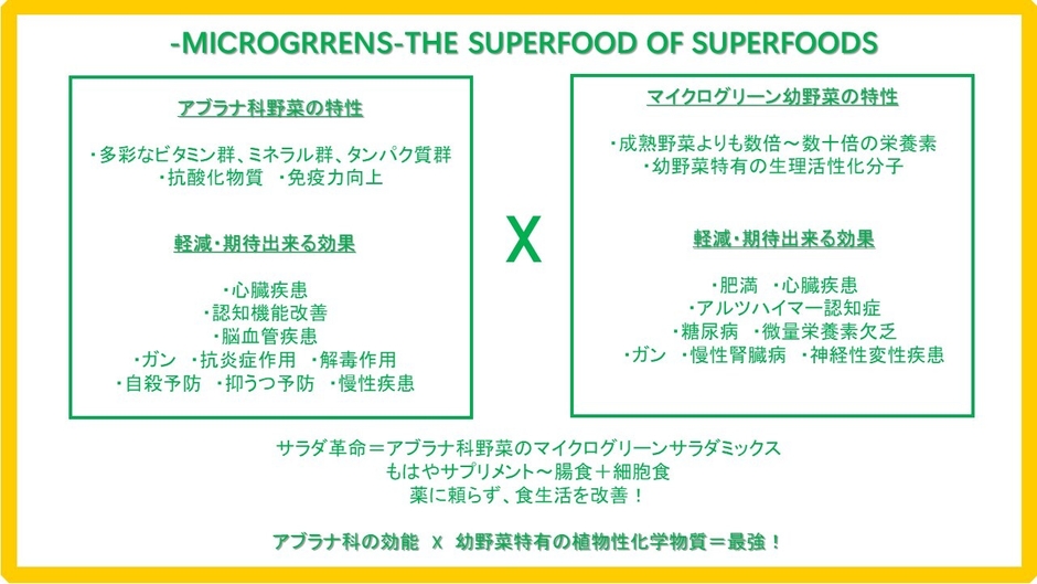 アブラナ科野菜と幼野菜効能