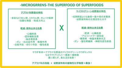 アブラナ科野菜と幼野菜効能
