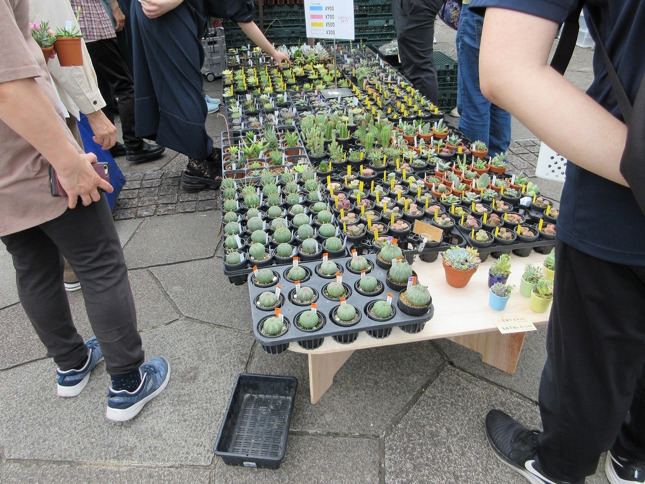 ＜事前案内＞北区グリーンフェスタ2026開催