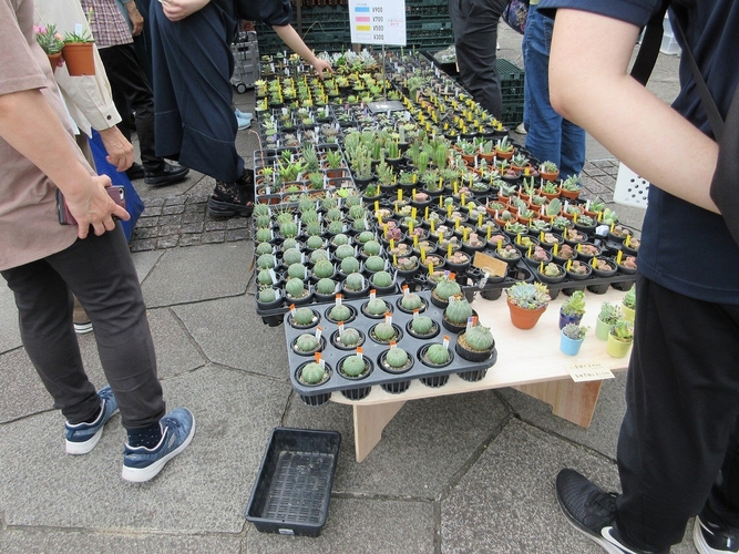 北区グリーンフェスタの様子（2025年）