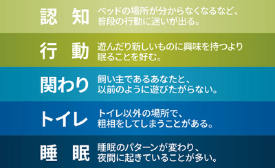 見逃さないで、老化のサイン