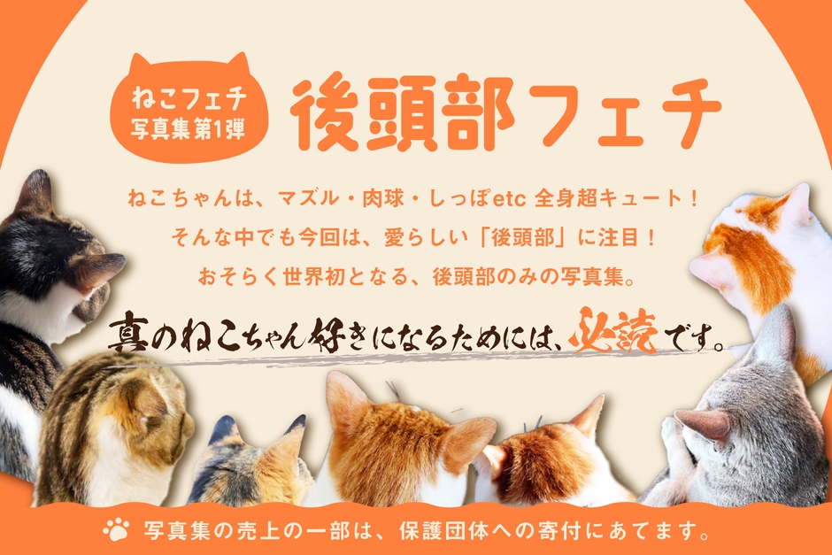 企画紹介画像2