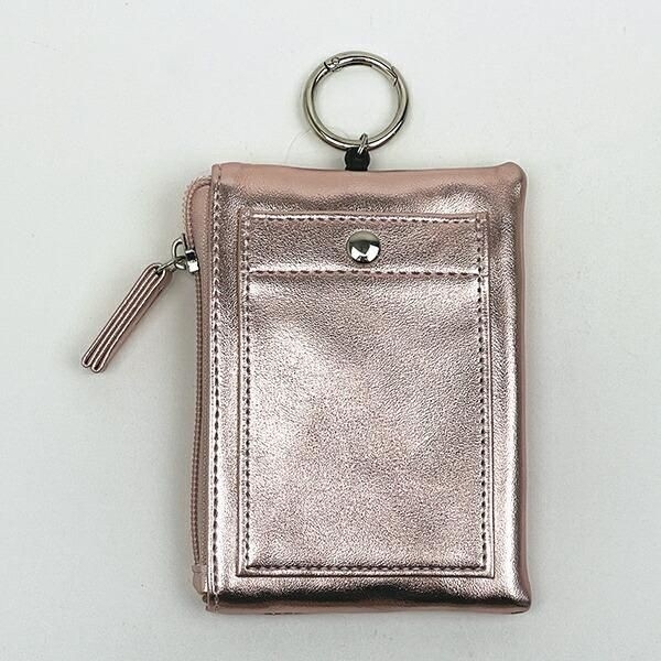 スヌーピーのパスポーチ