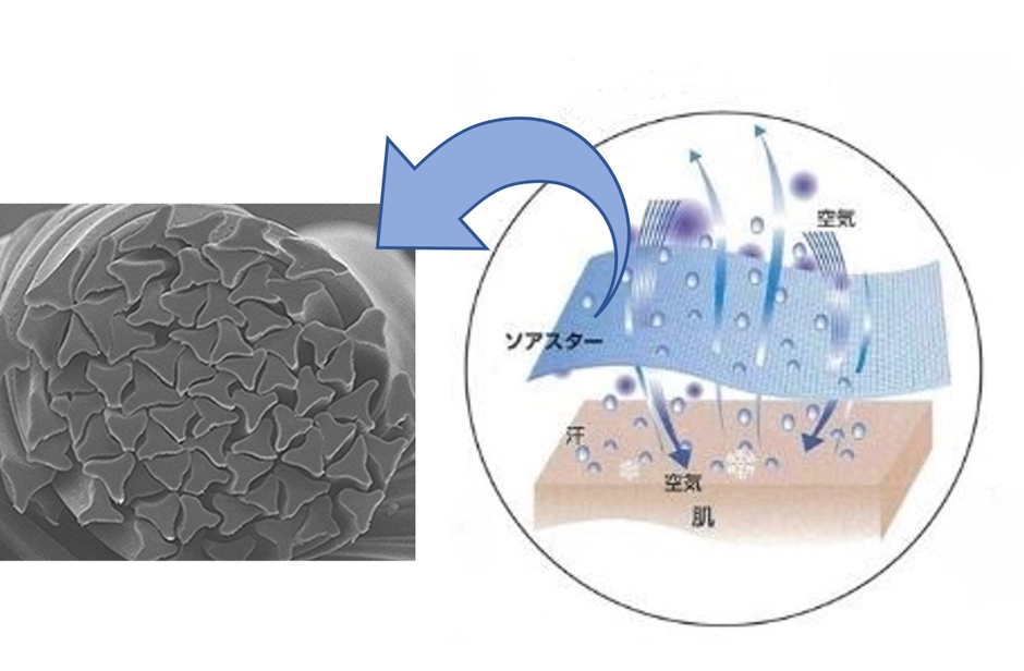 <メッシュ素材(ソアスター®)> Y字型の断面と吸水速乾のイメージ 、「ソアスター®」はKBセーレン株式会社の登録商標です。